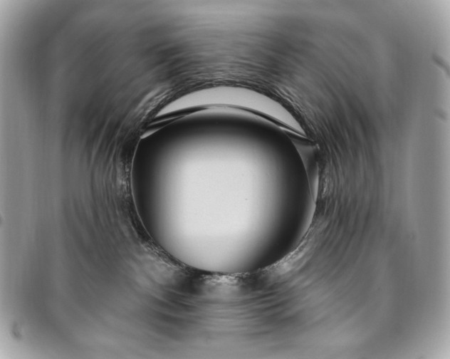 X0000096430140200802071734