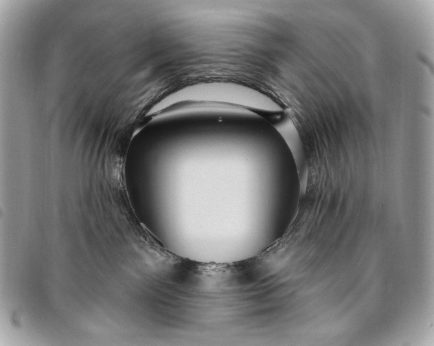 X0000096430141200802071734