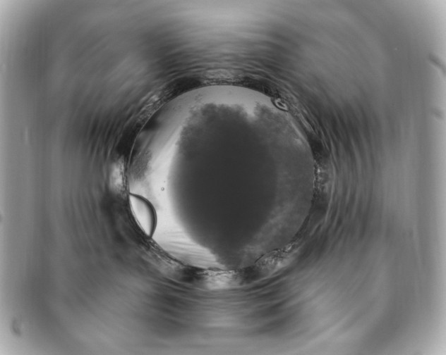 X0000096430143200802071734