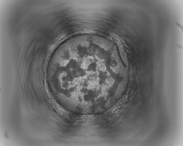 X0000096430145200802071733