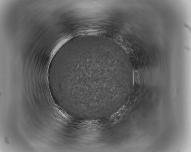X0000096430147200802071733