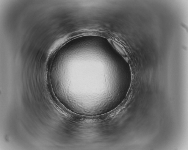 X0000096430149200802071733