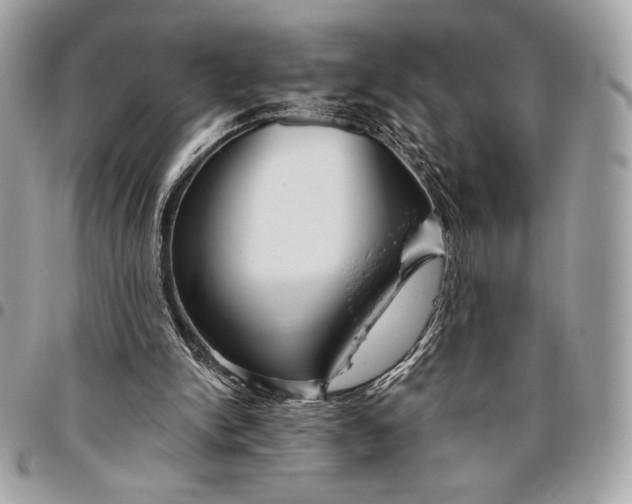 X0000096430150200802071733