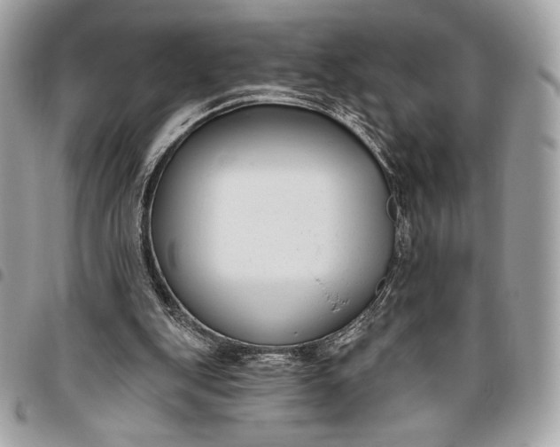 X0000096430151200802071733