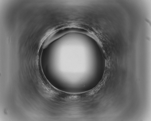 X0000096430152200802071733
