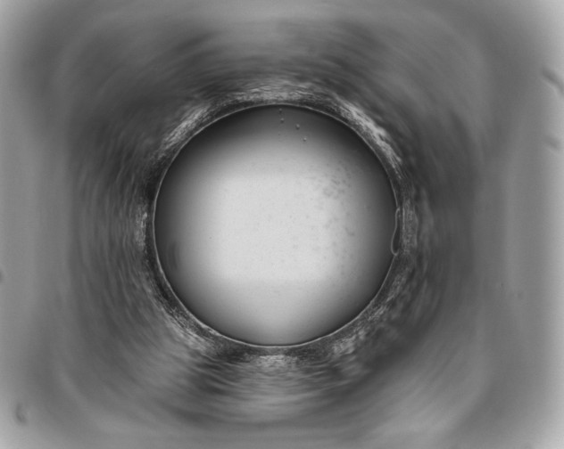 X0000096430153200802071733