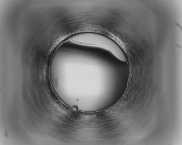 X0000096430155200802071733