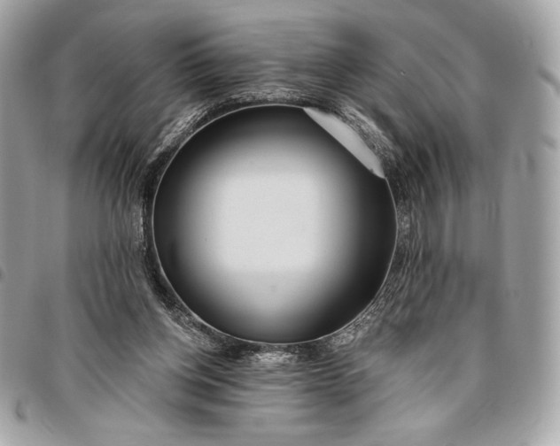 X0000096430158200802071733