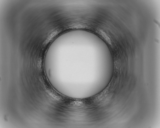 X0000096430159200802071733