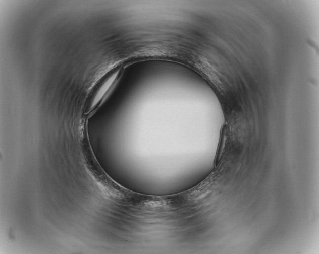 X0000096430160200802071733