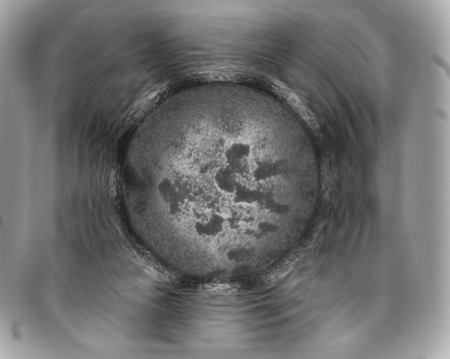 X0000096430161200802071733