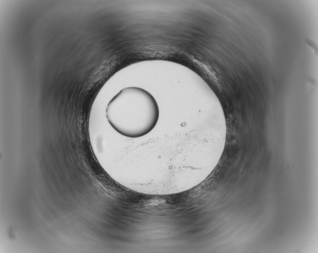X0000096430162200802071733