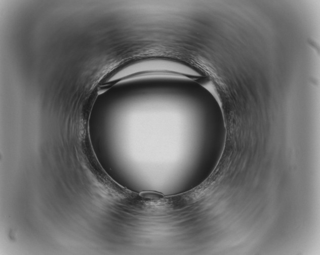X0000096430164200802071733