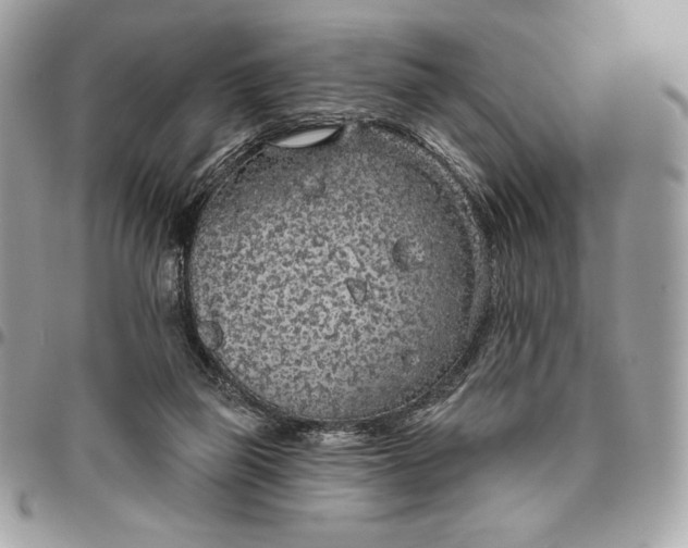 X0000096430165200802071733