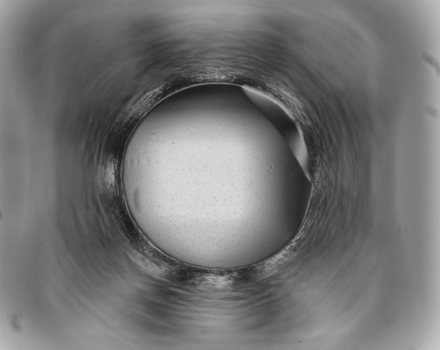 X0000096430166200802071733