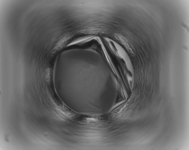 X0000096430167200802071733