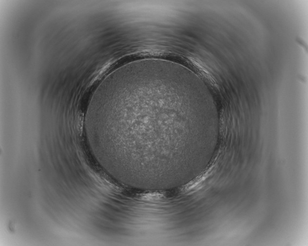 X0000096430168200802071733