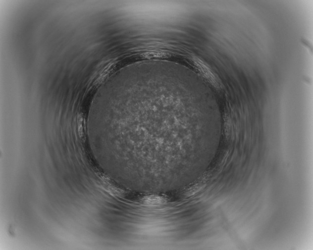 X0000096430169200802071733