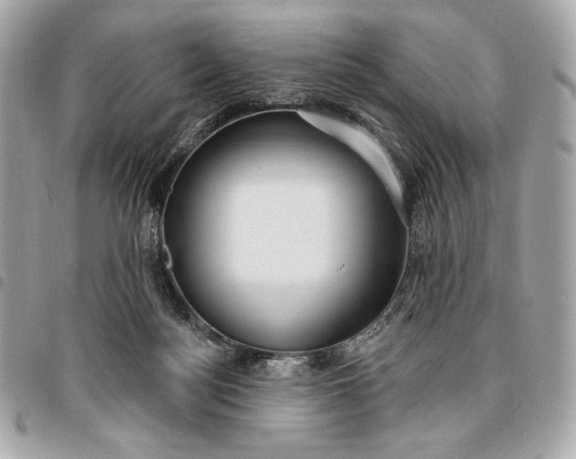 X0000096430172200802071733