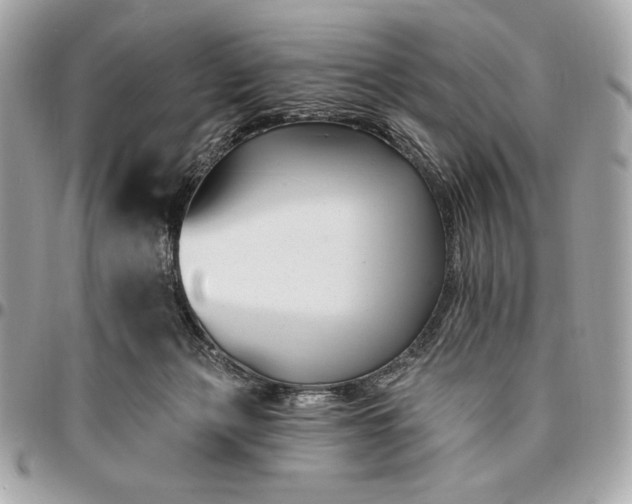 X0000096430173200802071733