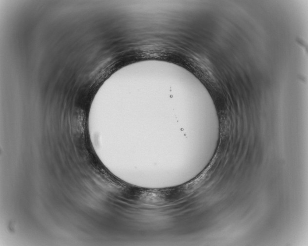 X0000096430174200802071733