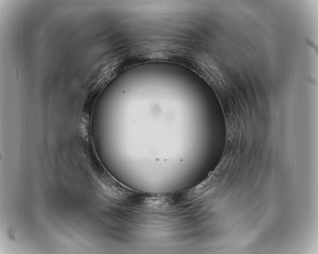 X0000096430175200802071733