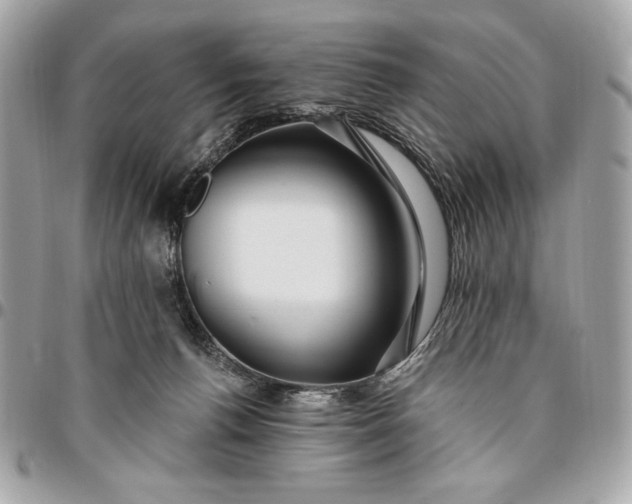 X0000096430176200802071733