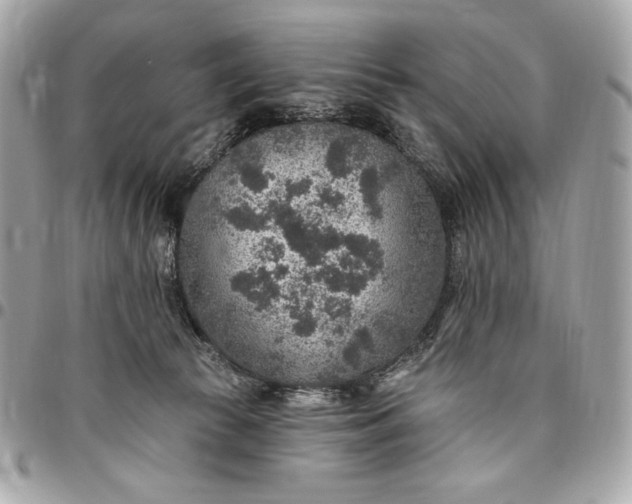 X0000096430177200802071733