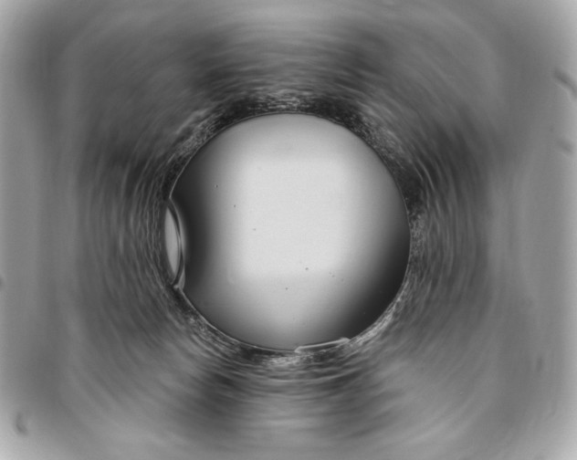 X0000096430178200802071733