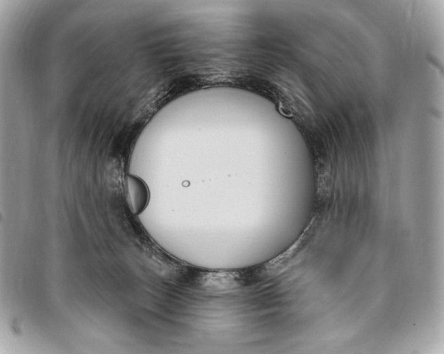 X0000096430179200802071733