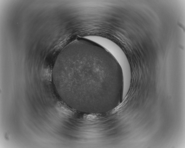 X0000096430180200802071733