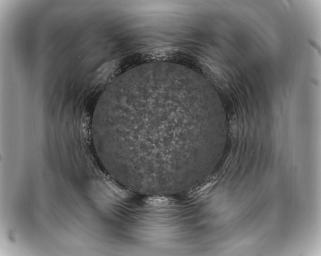 X0000096430181200802071734