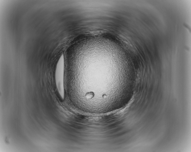 X0000096430182200802071734