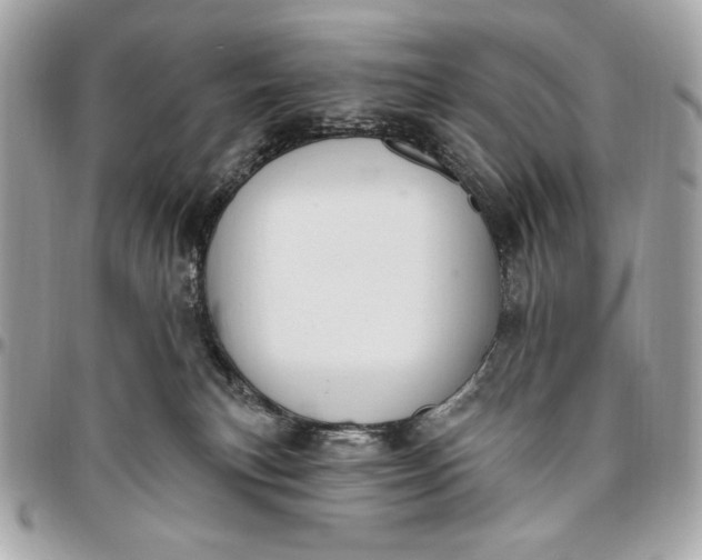 X0000096430183200802071734