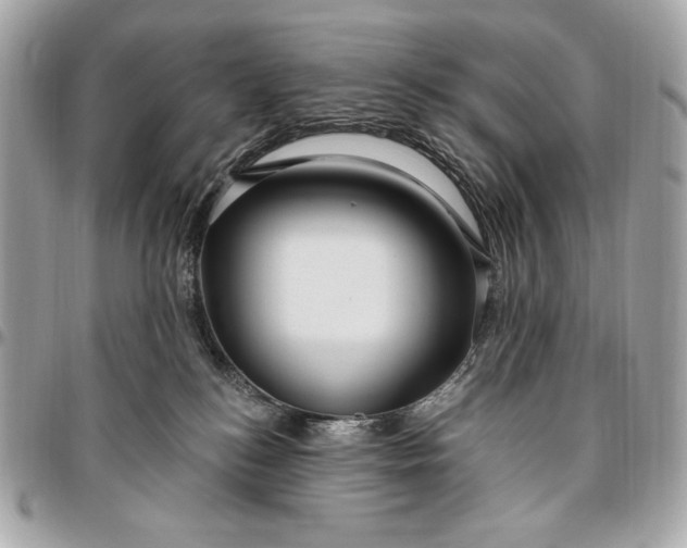 X0000096430184200802071734