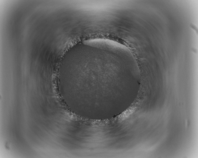 X0000096430192200802071734