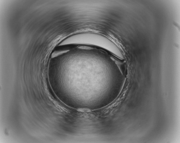 X0000096430193200802071733