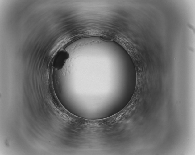 X0000096430194200802071733