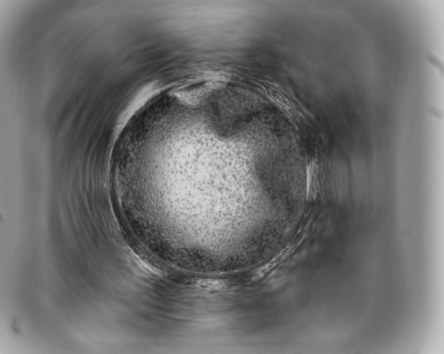 X0000096430195200802071733
