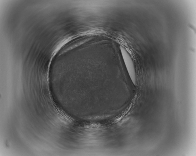 X0000096430196200802071733