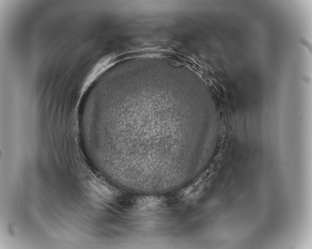 X0000096430198200802071733