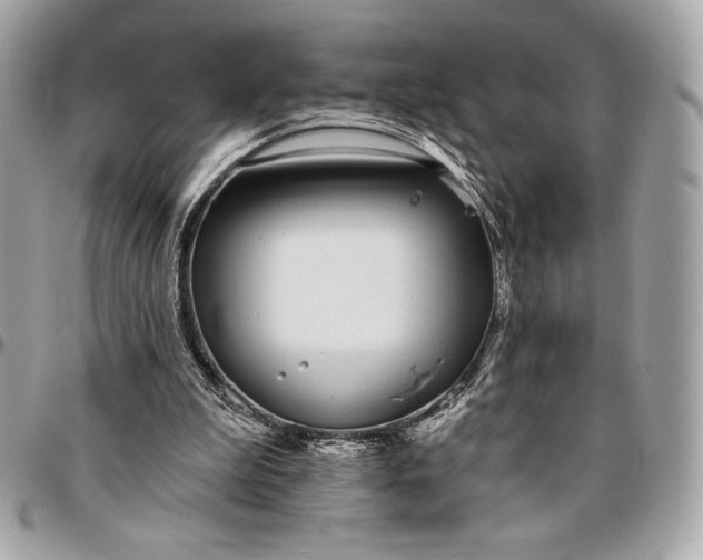X0000096430199200802071733