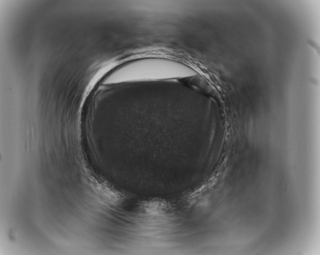 X0000096430200200802071733