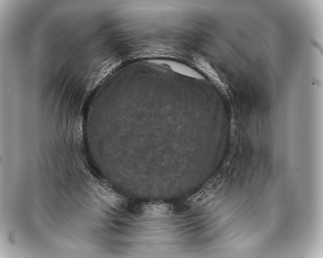 X0000096430202200802071733