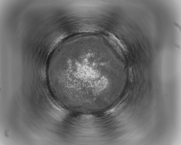 X0000096430203200802071733