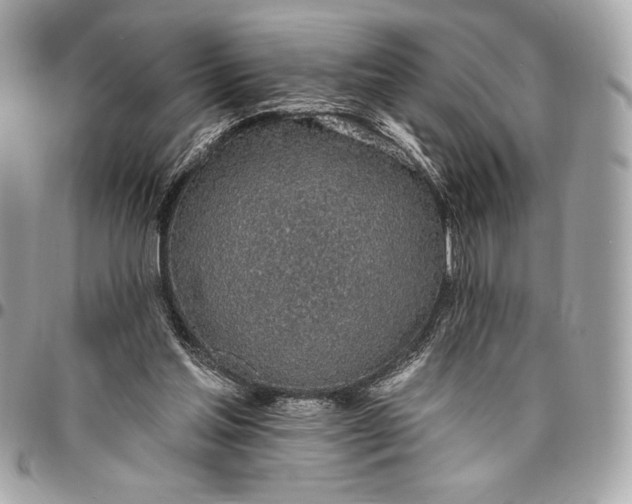 X0000096430205200802071733