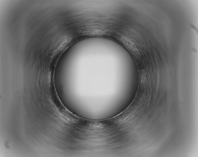 X0000096430206200802071733
