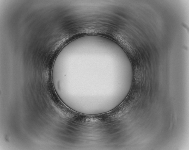 X0000096430208200802071733