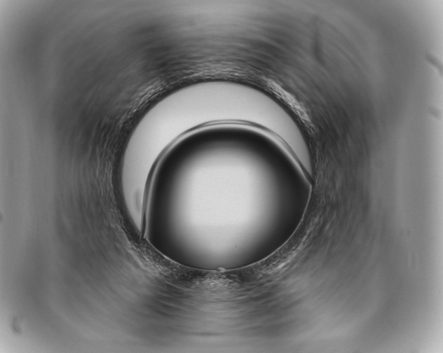 X0000096430209200802071733