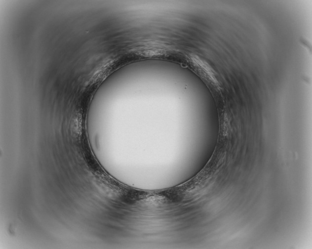 X0000096430210200802071733